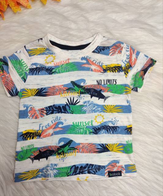 Boys Tee  12 to 18 Months