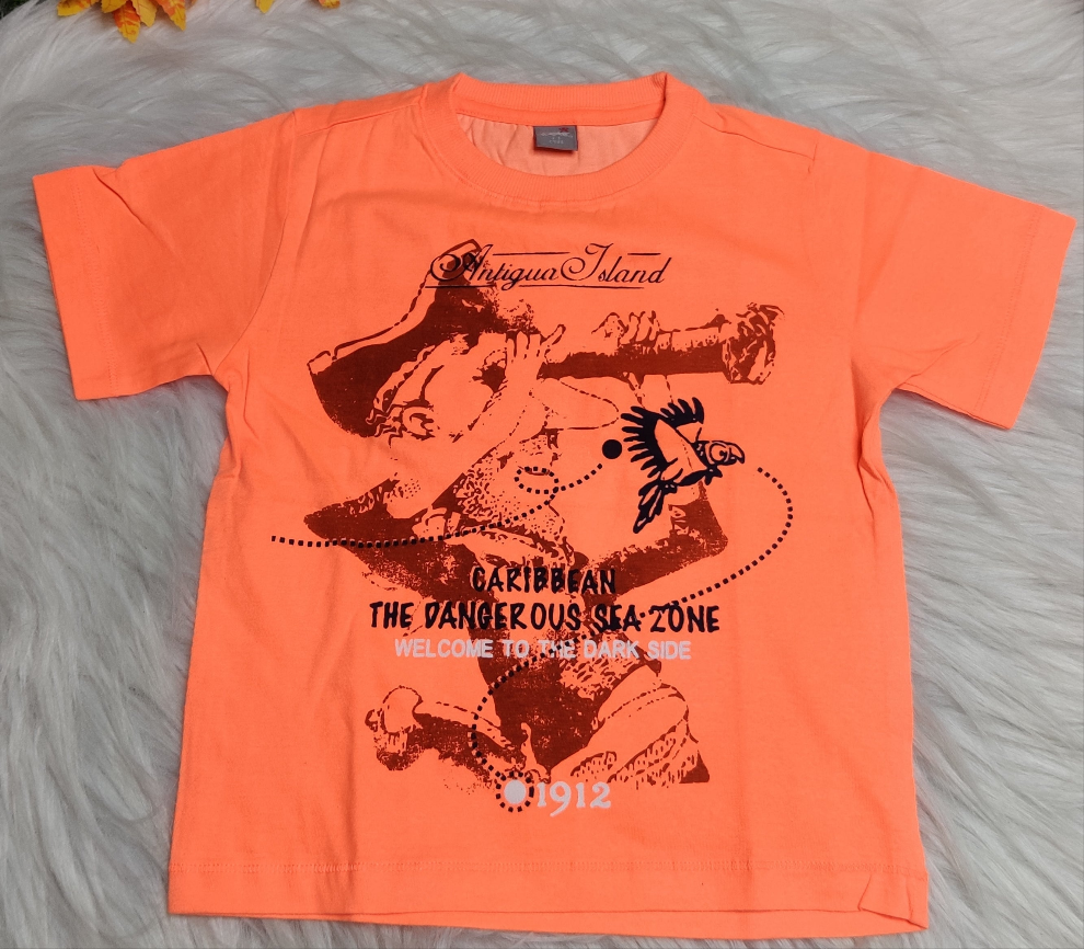 Boys Tees  4 to 5 Years