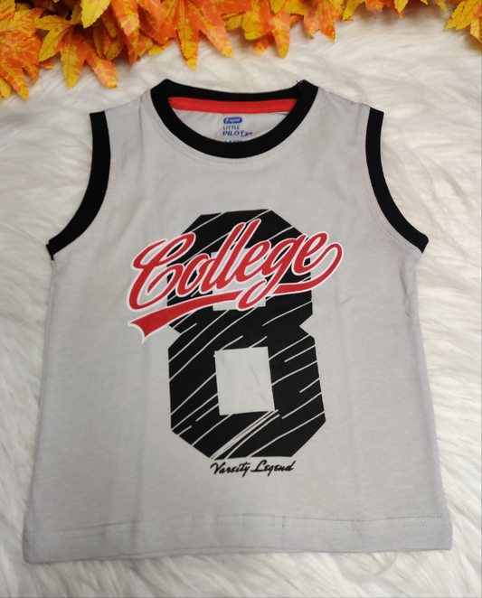 Boys Tees 2 to 3 Years