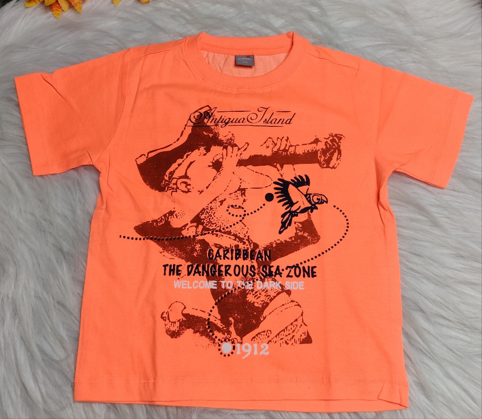 Boys Tees  5 to 6 Years