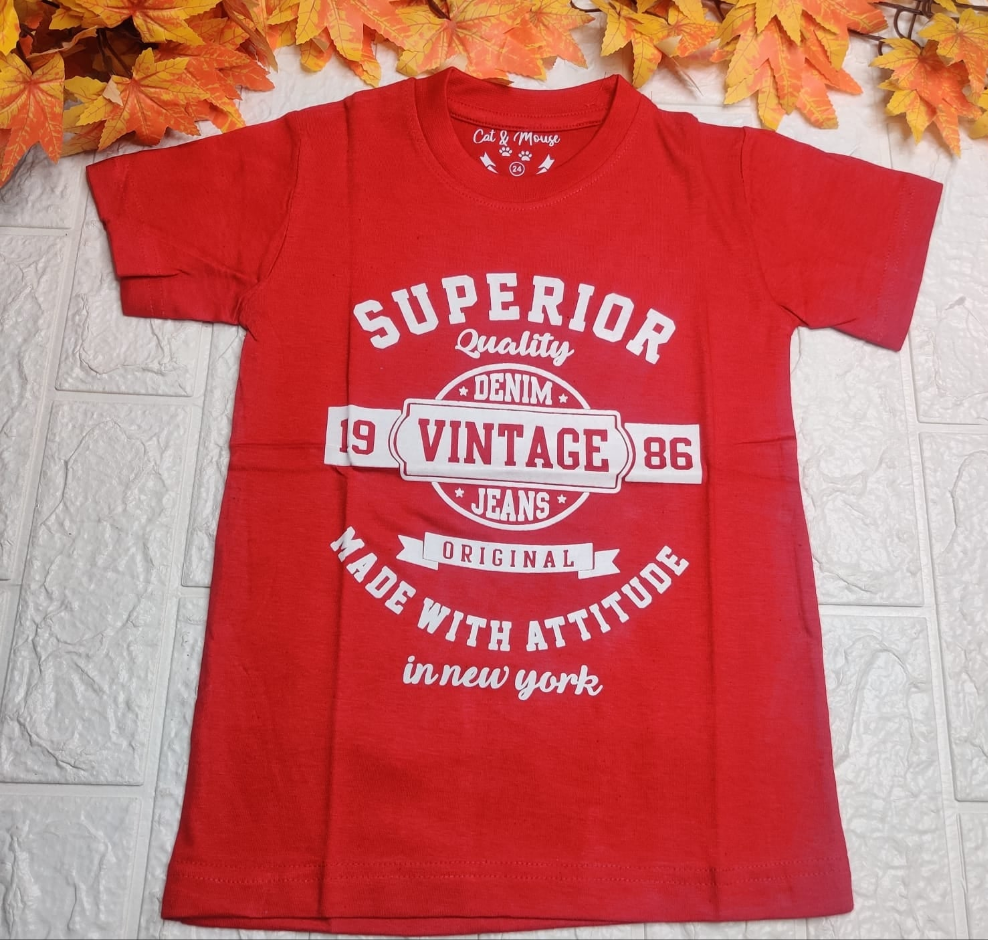 Boys Tees  5 to 6 Years