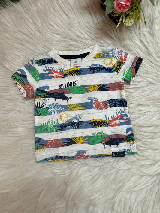 Boys Tees 0 to 6 Months